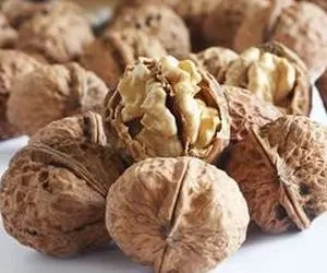 做核桃生意赚钱吗？