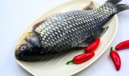 野生鲫鱼在家里怎么养？