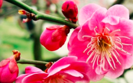 1667305004115282.png image.png