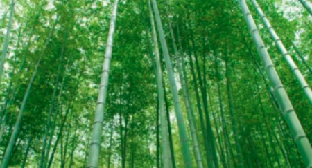 1667305034471695.png image.png