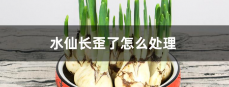 微信截图_20221210210814.png