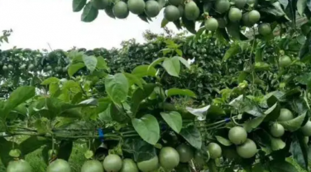 微信截图_20221215013157.png