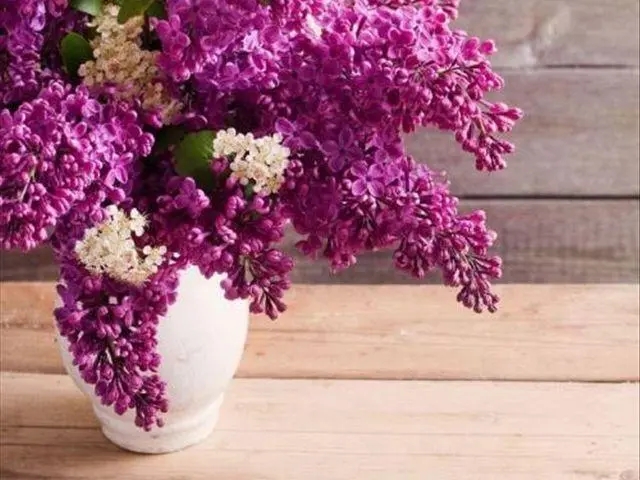 76f298e08a6a40f845efe1729ccc6ae9_u=3600325411,3152080967&fm=253&fmt=auto&app=138&f=JPEG_w=640&h=480.webp