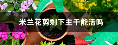 微信截图_20221215214412.png