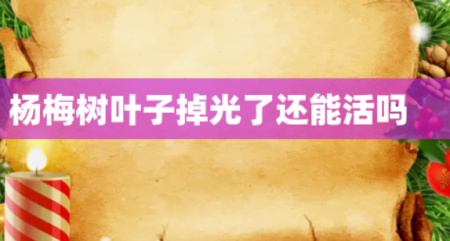 微信截图_20221216190106.png