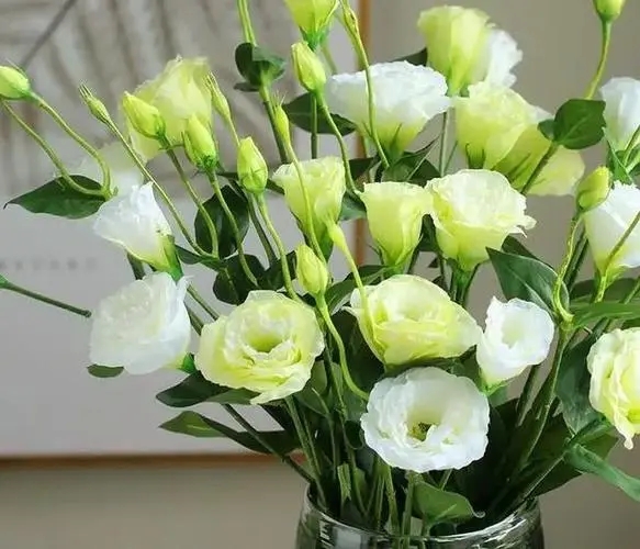 d4b5155fac3651870b378d7ef365e8f9_u=3701076144,2960014380&fm=253&fmt=auto&app=120&f=JPEG_w=583&h=500.webp