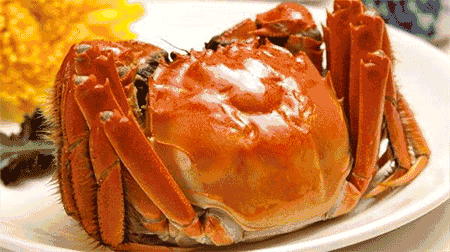 9564c73126feacf104bf17aa2f8ca550_64380cd7912397ddaee4fc5b5282b2b7d1a287cb.jpg