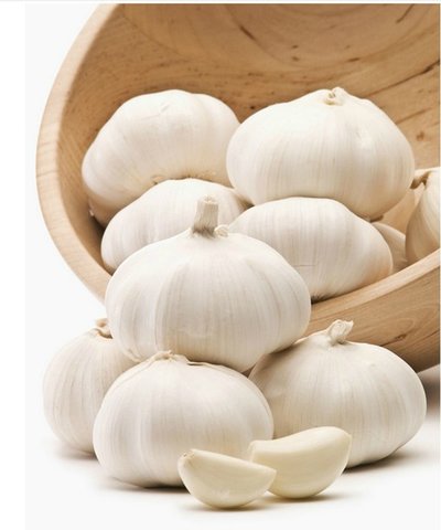 4c12756602421091c2e51eeb6d5e39f0_t01dc0d2d188fc9a96e.jpg