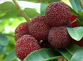 7c38d02e363bc535c9d9de044bbce176_t019479168ded7c55f1_size=661x482.png