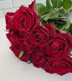 红玫瑰的花语是什么象征