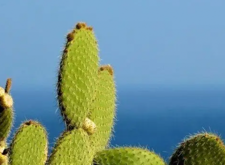 4.png