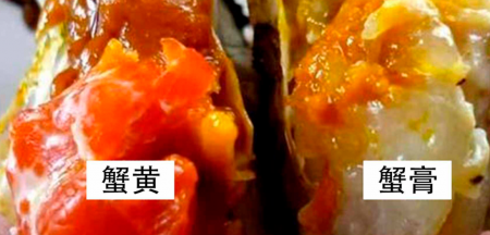 螃蟹的蟹膏和蟹黄是什么