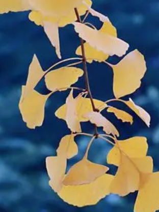 7.png