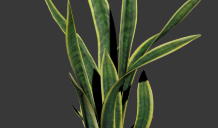 1.png