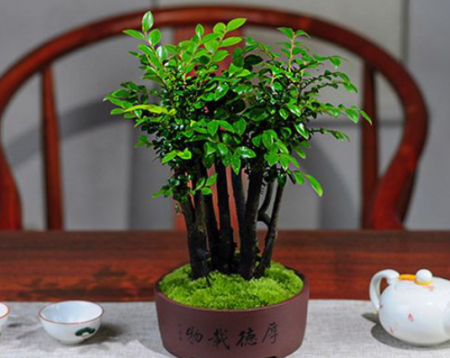 QQ截图20230804125827.png