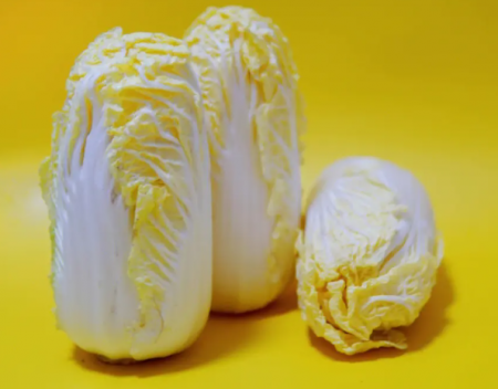 QQ截图20230805092334.png