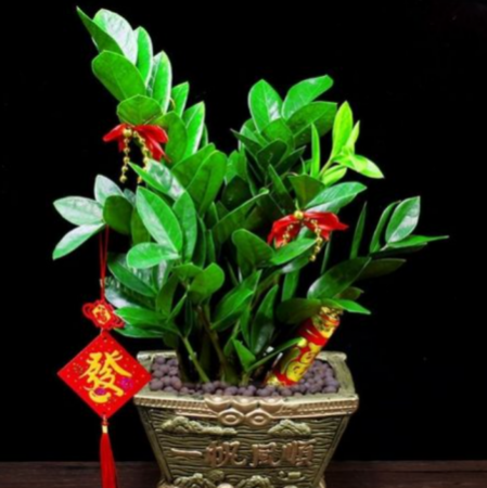 QQ截图20230807124919.png