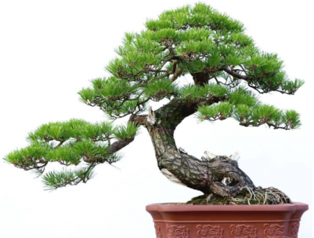 QQ截图20230822161238.png