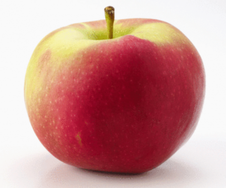 1.png