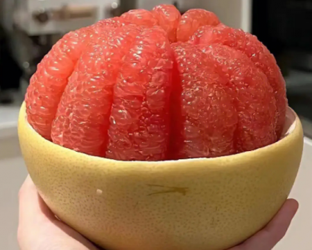 QQ截图20230902112913.png
