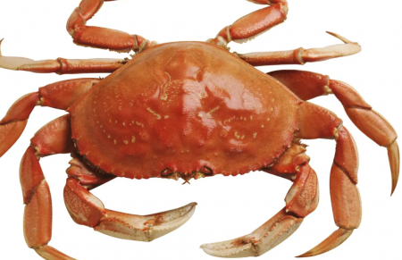 3.png