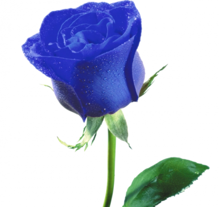 2.png