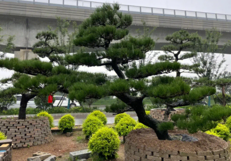 QQ截图20230905101134.png