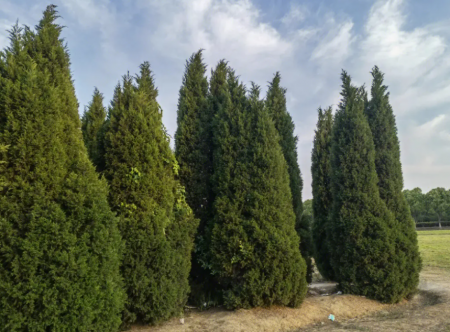 QQ截图20230905101134.png