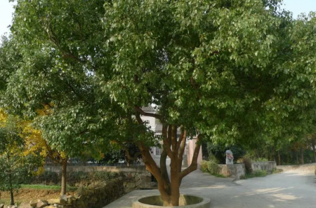 QQ截图20230905101134.png