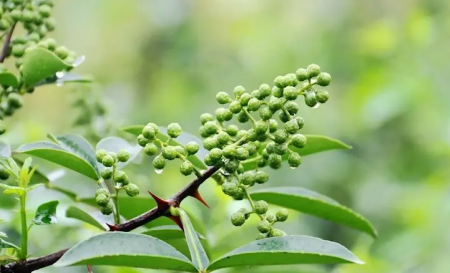 QQ截图20230911101350.png