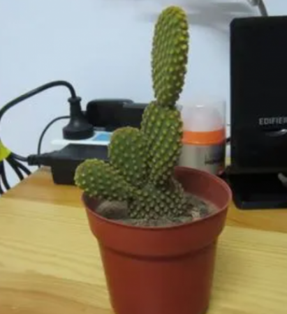 1.png