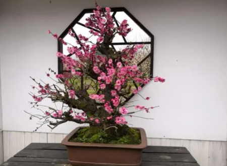 QQ截图20231019120030.png