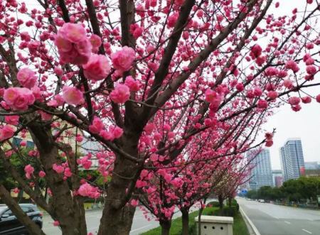 QQ截图20231019120030.png