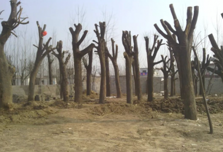 QQ截图20231019120030.png