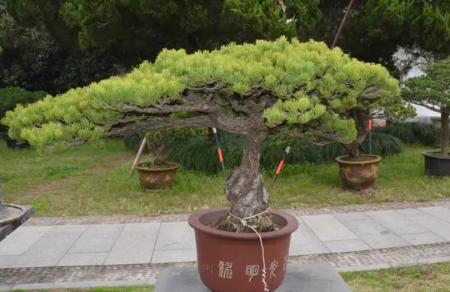 QQ截图20231019120030.png