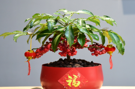 QQ截图20231031111251.png