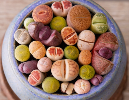 QQ截图20231106130234.png