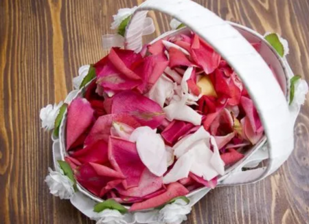 鲜花花瓣.png