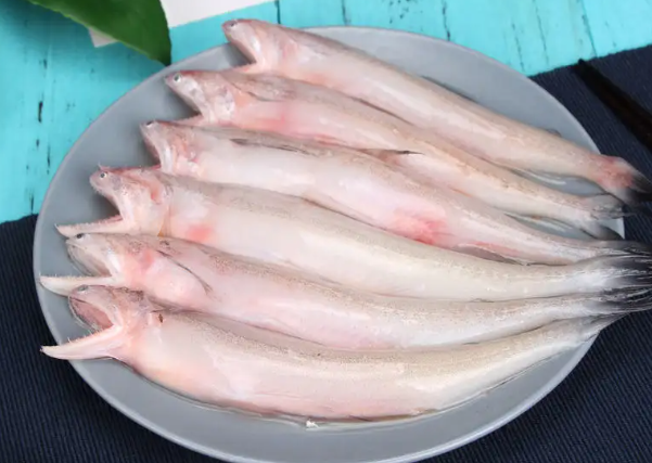 豆腐鱼.png