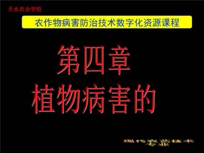 不同作物物理防治效果差异