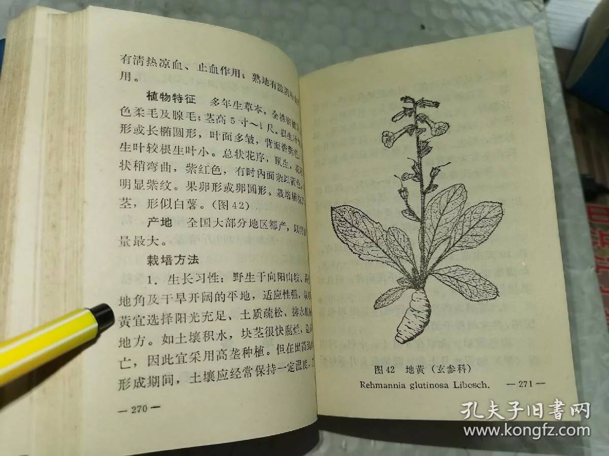 如何科学识别植物病虫害