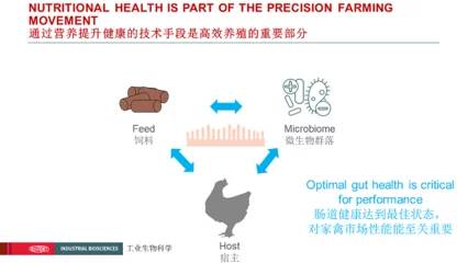 精细饲料配料比例的确定