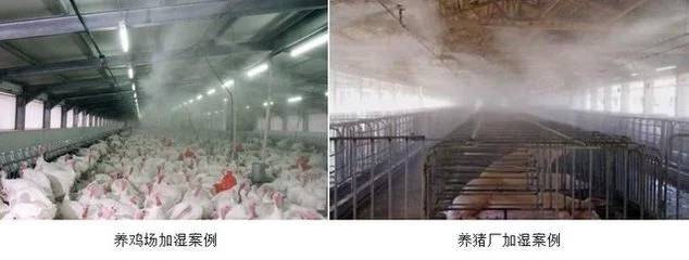 养殖场设备选型案例分析