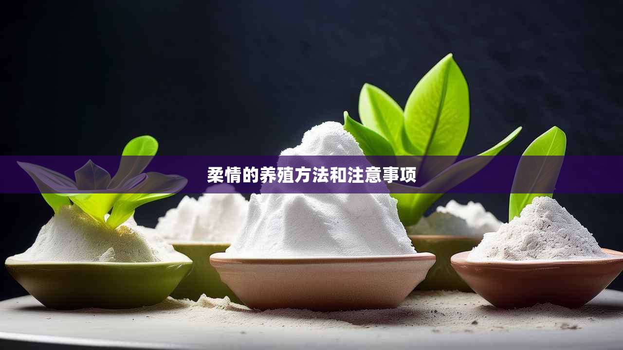 2柔情的养殖方法和注意事项