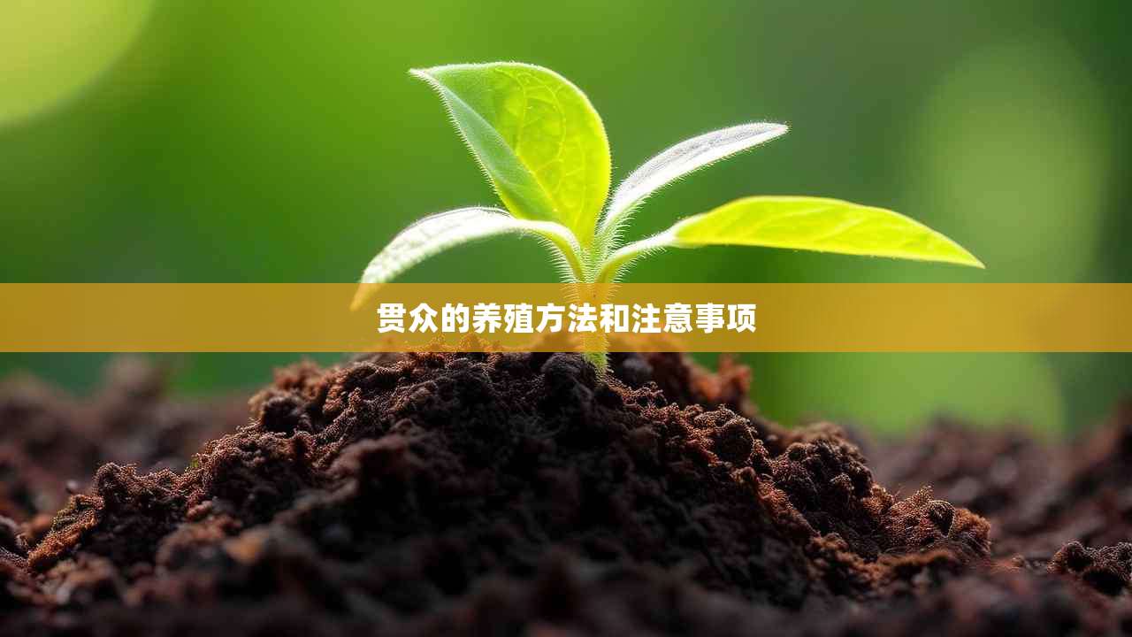 2贯众的养殖方法和注意事项