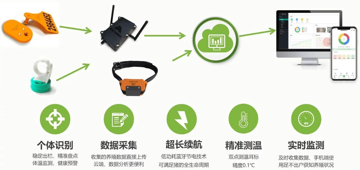 智能项圈监测的优势与挑战