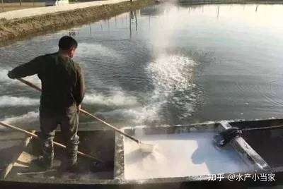 养殖环境消毒的最佳实践