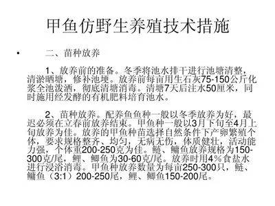 池塘养鱼养什么鱼好