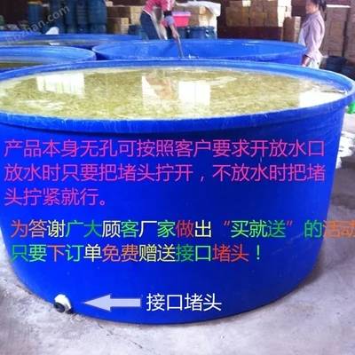 生态鱼瓶怎么养