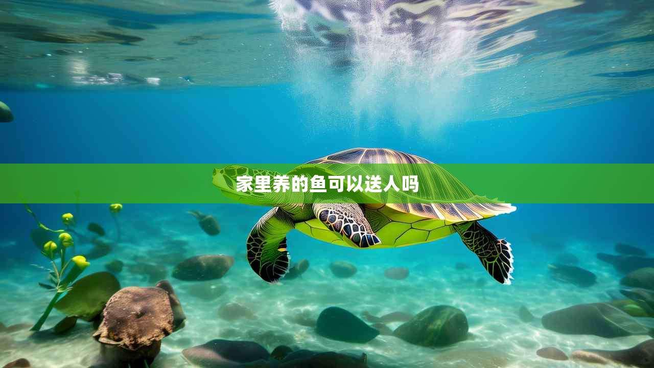 家里养的鱼可以送人吗